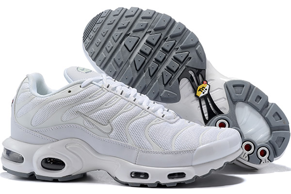 Nike Air Max TN 8909-105